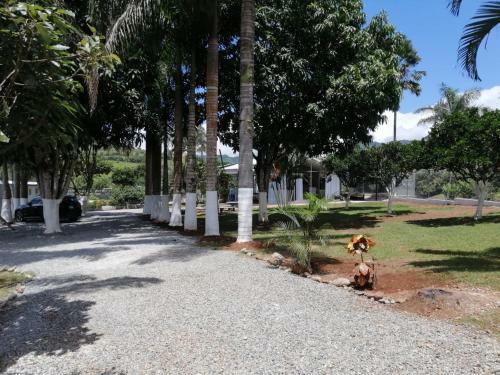 Villa Casa Cristal Con Piscina En P�rez Zeled�n