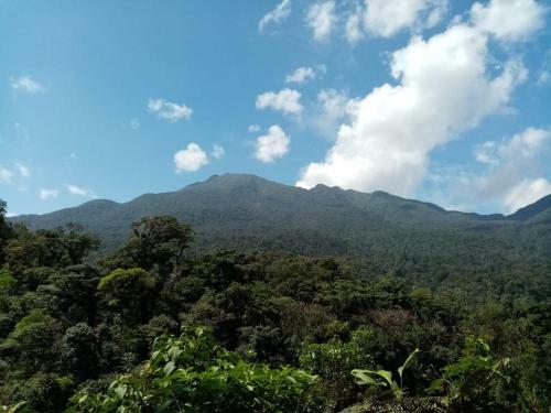 Bed & Breakfast Posada Rio Celeste In