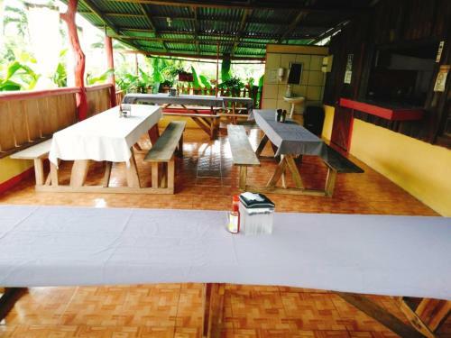 Bed & Breakfast Posada Rio Celeste In