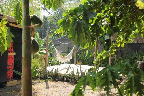 Akih Pods Hostel
