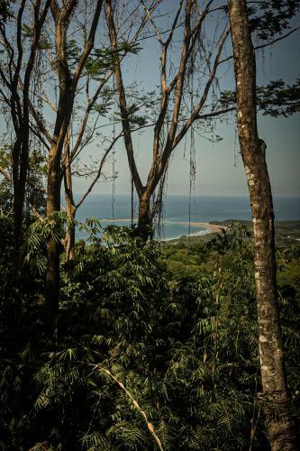 Hotel Selva Armonia