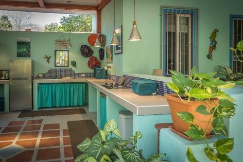 Hostal Moonshadow Costa Rica