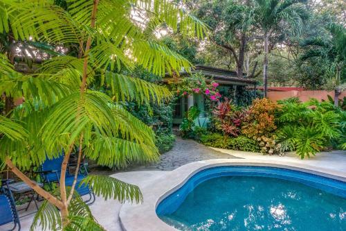 Hostal Moonshadow Costa Rica