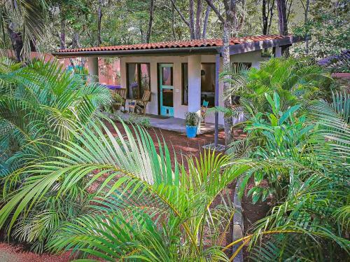 Hostal Moonshadow Costa Rica