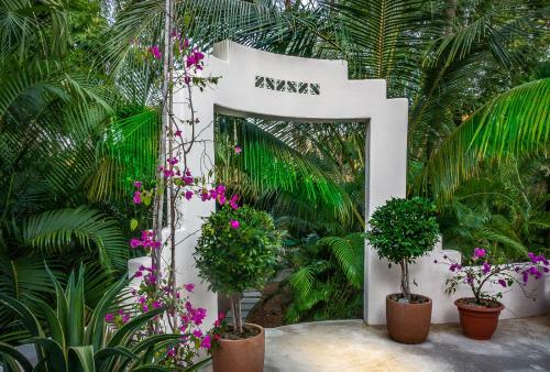 Hostal Moonshadow Costa Rica
