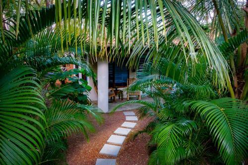 Hostal Moonshadow Costa Rica