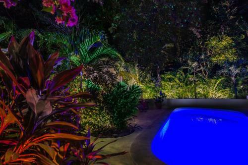 Hostal Moonshadow Costa Rica