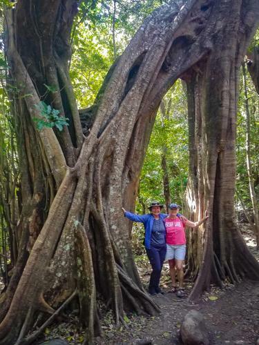 Hostal Moonshadow Costa Rica