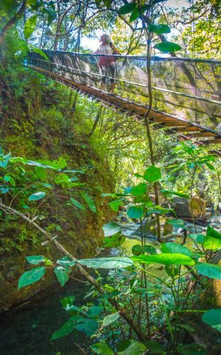 Hostal Moonshadow Costa Rica