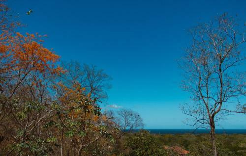 Hermosa Heights #37