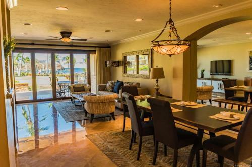 Palms 24
