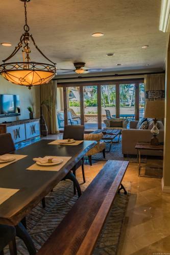 Palms 24