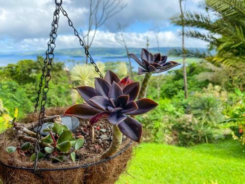 Hotel Retiro Del Lago Arenal Lodge
