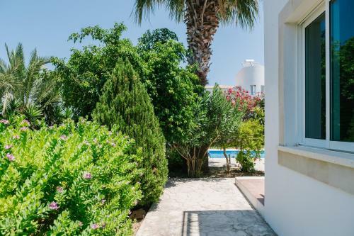 Aphrodite 3 Bedroom Villa
