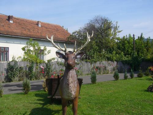 Hostal Pensiunea Mara