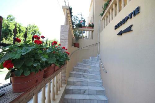Hotel Dynes