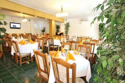 Hotel Dynes