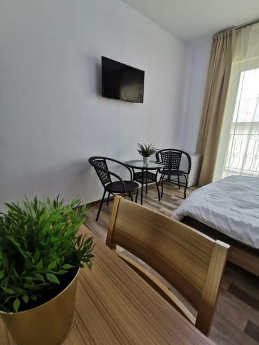 Hotel Kamyr House