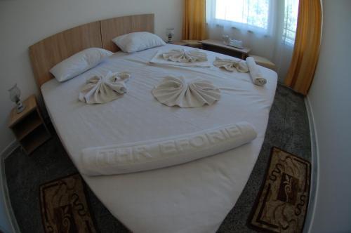 Hostal Hotel Venus
