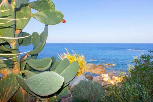 Pomos Villa Sleeps 8 With Pool And Air Con
