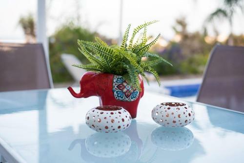 Travertine Cove Villa