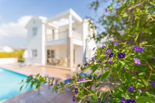 Villa Regina 2