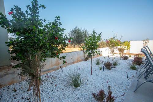 Protaras Oasis Seafront Villa