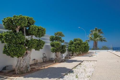 5 Star Villa For Rent In Cyprus, Protaras Villa 1225