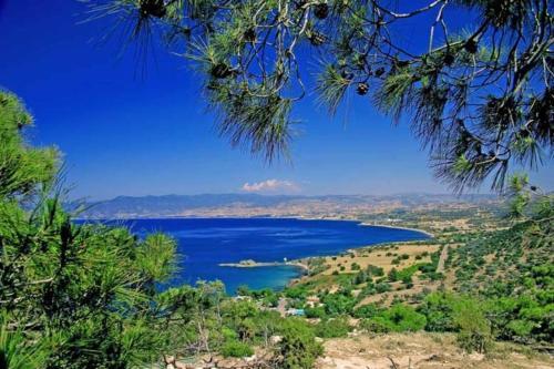 5 Star Villa For Rent In Cyprus, Protaras Villa 1225
