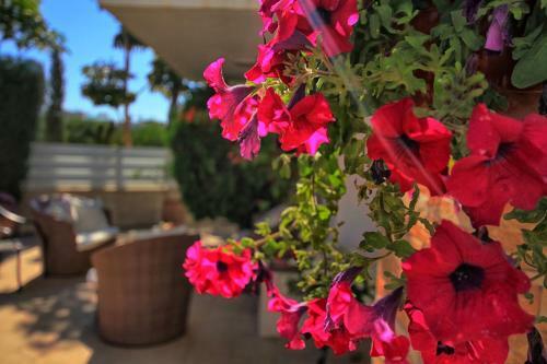Villa Fig Tree 3 Bed Villa Heated Pool Protaras