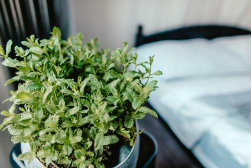 Hostal Wake Up Wellness Hostel