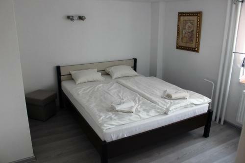 Hostal Penzion Slanina