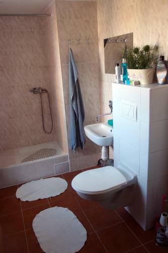 Hostal Penzion Slanina