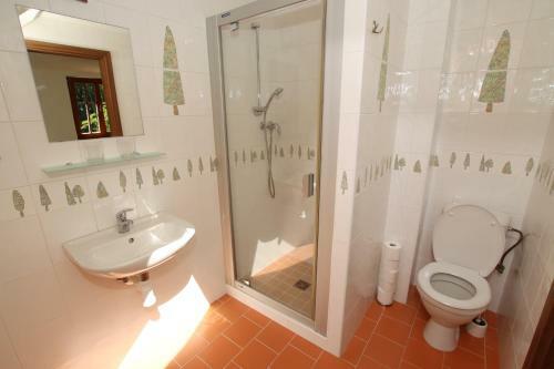 Hostal Penzion L�vka