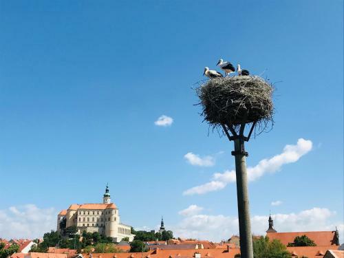 Hostal Penzion ?�p