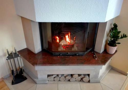 Apartment Villa Frank