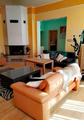 Apartment Villa Frank