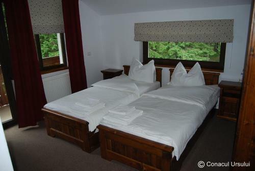 Hostal Cabana Conacul Ursului