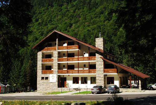 Hostal Cabana Conacul Ursului