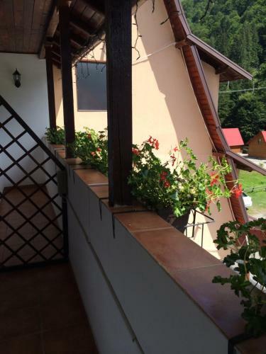 Hotel Siesta