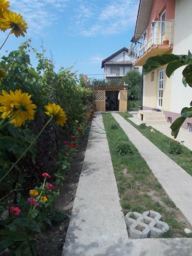Hostal Vila Rapsodiei
