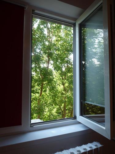 Apartament Rema