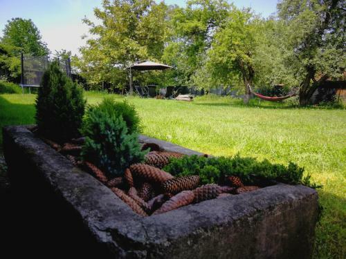 Pensiunea Balea Sat