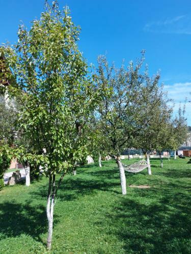 Bed & Breakfast Pensiunea La Mogan