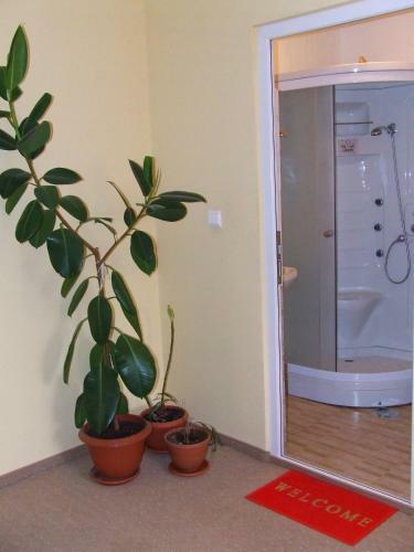 Hostal Pensiunea Dorali