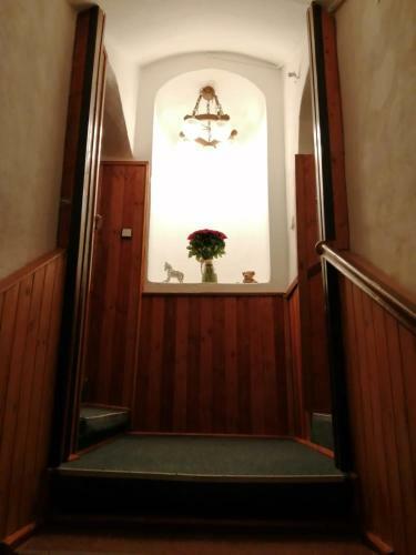 Hostal Penzion U ?lechti?en