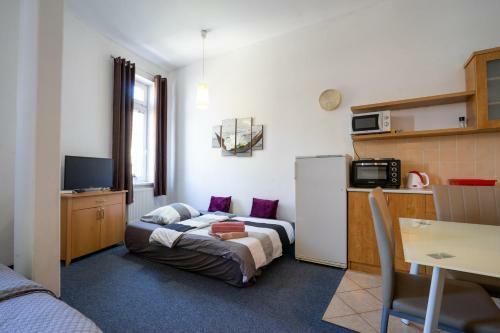 Apartamento Studio Wellnerova 3