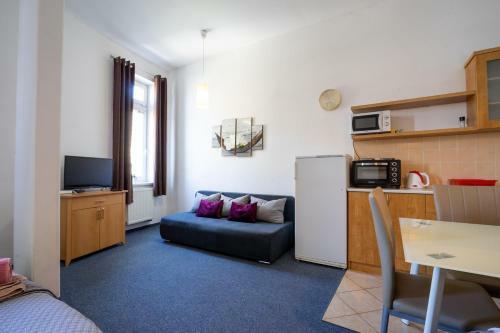 Apartamento Studio Wellnerova 3