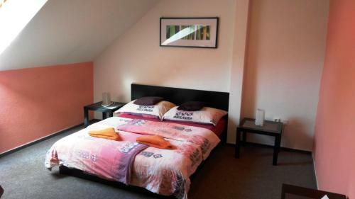 Apartm�ny P?emyslovc?