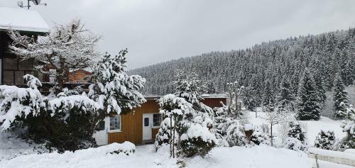 Hostal Penzion U Dvou P�n?